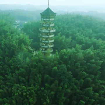 四川宜宾蜀南竹海景区包车一日游{包车游，拍1份=1辆}