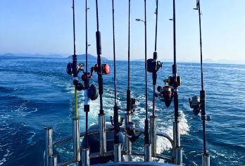 青岛出海钓鱼+小港钓鱼码头专业海钓含渔具鱼饵 4小时海钓【享受海钓乐趣 体验原生态渔民生活】