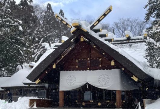 日本札幌往返大雪山国家公园-可小樽登别富良野北海道包车-精选【包车一日游，解锁旅行新方式！独立车辆配备经验丰富的老司机，为您量身打造专属行程。】
