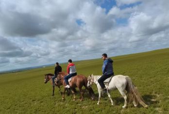 希拉穆仁草原+哈达门高山牧场+红格尔敖包一日游【可选2-8人精致小拼团，或私家独立包车游 (多种车型选择）】