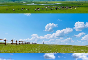 【此生必打卡】内蒙古呼和浩特+希拉穆仁草原+响沙湾/沙漠童话【8小时VIP服务，丰富的文化体验，仙境般的自然景观。】