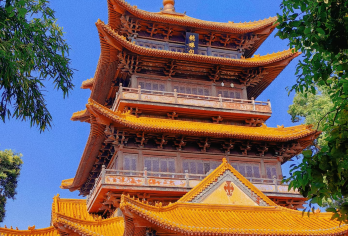 景德镇御窑博物馆半日游【含预约+陶阳里团队门票+人工讲解】【瓷都旅游官方运营，品质保障，走绿色通道进御窑博物馆！】