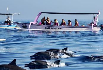 巴厘岛罗威纳追海豚+火山一日游【中文导游+专车+午餐】【网红系列[小Red书网红博主力推，无需滤镜张张是大片]】