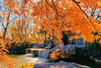 【南京赏秋季】栖霞禅寺+栖霞山一日游【全天包车8H服务，行程自由可调整】