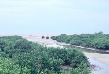 北海老街+侨港风情街+银滩+红树林包车一日游可英文服务【可提供英文及小语种导游服务-往返接送-可选导游-可代订门票】