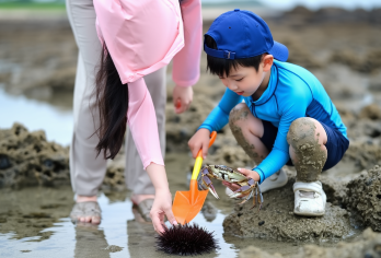 平潭岛出海体验半日游【滩涂赶海 快艇海钓 收蟹笼 拉网捕鱼】【户外项目丨活动都是野外 收获多寡无法保证 有空军风险哦】