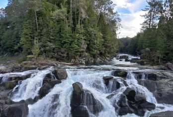 新西兰奥克兰-汉密尔顿&陶朗加芒格努伊【中文专车-惬意舒适】【中文专车出行，行程自己定义，无需等待，专属贴心服务，尽享惬意旅程】