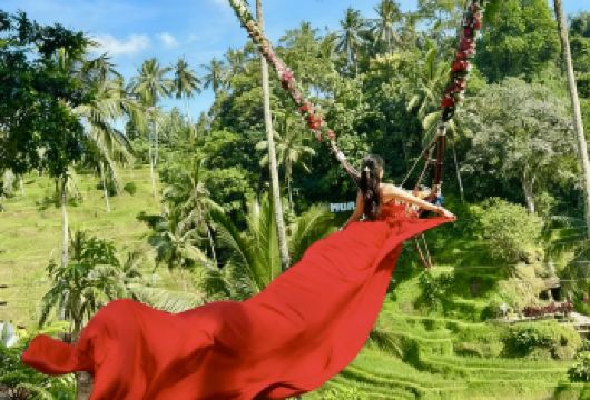 巴厘岛乌布一日游 可选梯田/俱乐部/大秋千/圣泉寺/海神庙【网红大秋千：这里是人造的浪漫，是ins上都为之疯狂的丛林秋千。】