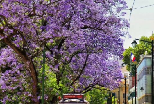 葡萄牙里斯本-摩尔人城堡-辛特拉-罗卡角-地狱之口-包车精选【专属客服和本地中文司机，一家一团包车】