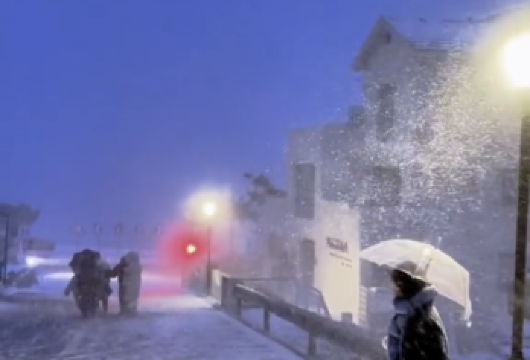 【春节预售】火炬八街+布鲁维斯等网红打卡点+鸥粮+氛围感【大巴车出行】