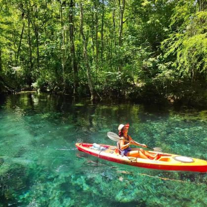 美国奥兰多+银泉州立公园+冬日公园一日游/可定制可调整