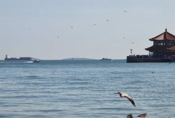 市内精华一日游【2-6人团/精华景点/金牌向导/纯玩】【[2~6人VIP 纯玩小团]我们专做品质小团，纯玩是底线，承诺全程不进任何购物店！无任何隐形消费！】