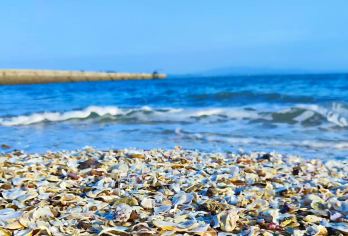 厦门小嶝岛一日游【赶海抓蟹含接送工具+海鲜餐+可选帆船】【[小岛风貌]厦门周边原生态小岛，原始渔村，闽南古厝，战地遗址古民居，电瓶车环岛游】