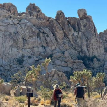 美国凤凰城~约书亚树国家公园-救赎山12h包车【精选老司机】