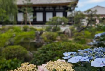 日本京都-琉璃光院-岚山-贵船神社-包车-热门景点一网打尽【专业行程定制，精选热门景点，高效游玩不走回头路，贴心服务保障，轻松】