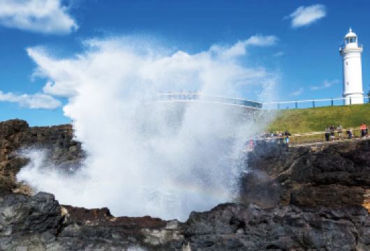 悉尼卧龙岗喷水洞一日游【穿越海崖大桥，欣赏蓝色海洋路沿线风光】
