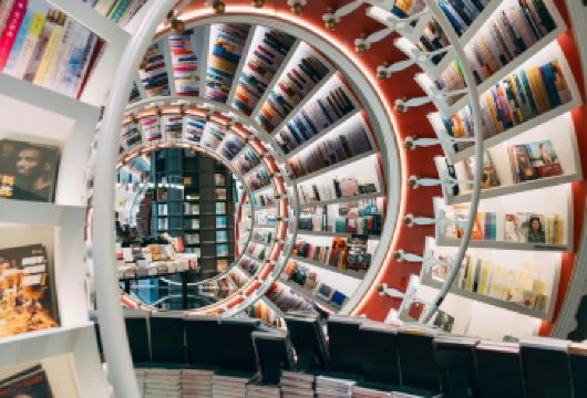 私家小团上门接送|深中通道+深圳历史文化和新潮景点一日活动【私家旅行：一单一团，不拼客，专属旅行；品质服务：5座/7座车上门接送，专职司机护航】