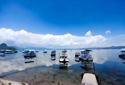 【游船花海海滩】昆明抚仙湖纯玩一日游+粉红沙滩【品尝抚仙湖美食节获奖餐厅滇湖缘，品尝特色铜锅鱼，洋芋焖饭】