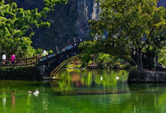 靖西鹅泉+通灵大峡谷+旧州古镇一日游（中文司机包车）【串联靖西三大核心山水人文景点，泉眼清幽、峡谷壮阔、古镇雅致，全景覆盖喀斯特风光。】