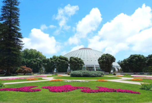 葡萄牙波尔图-莱罗书店-水晶宫花园【中文专车-惬意舒适】【中文专车出行，行程自己定义，无需等待，专属贴心服务，尽享惬意旅程】