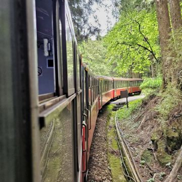 台中一日游 :高美湿地+宫原眼科 私人包车10H|可定制行程