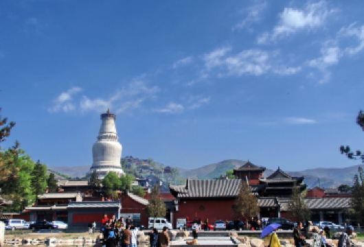 五台山一日游【大同出发，舒适往返1-7人精品小团】【市区接送，省去集合点上车烦恼，酒店楼下接送。】