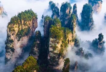 张家界国家森林公园纯玩1日游【不去天子阁购物】上门接送【[免费接送·纯玩无购物]张家界市区酒店（武陵源区、张家界市区）免费接送，[不去天子阁购物]】