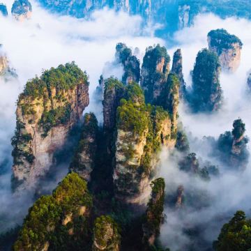 上门接送，18人团张家界国家森林公园纯玩1日游【全程免排队】