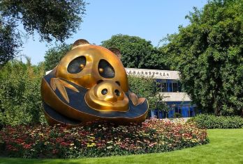 成都都江堰+熊猫基地：探秘千年水利+顶流熊猫花花+川剧变脸C【全程专车接送：三环内上门接站+头等舱空调巴士全程护航，一人一座！】