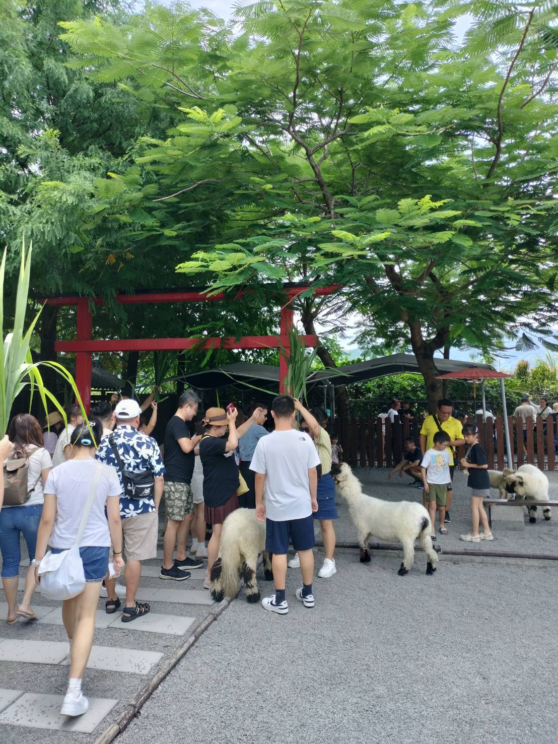 宜蘭經典遊：張美農場&清水地熱DIY(台北出發飯店接送)