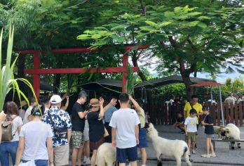 宜蘭經典遊：張美農場&清水地熱DIY(台北出發飯店接送)【一天完成宜兰特色景点，宜兰亲子游，大人、小孩都适合】