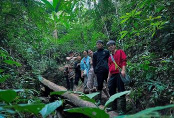 西双版纳基诺山雨林徒步一日游【土著向导+雨林大餐+雨林探秘】【[精品纯玩]纯玩无购物，无任何隐形消费，沉浸式体验徒步的乐趣~】