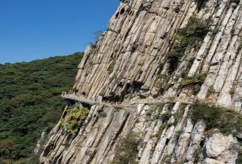 郑州-少林寺一日游包车【[服务保证]本地旅行社，不压缩游玩时间，不进店购物】