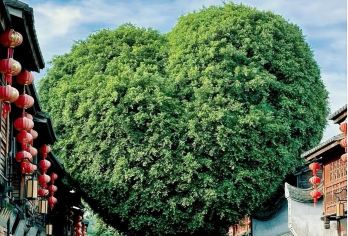 【三坊七巷2小时精讲】资深讲解8人小团·拼团/私家团含耳机【[金牌说讲师团]行业资深讲师和金牌导游，只做深度讲解，保证讲解质量！】