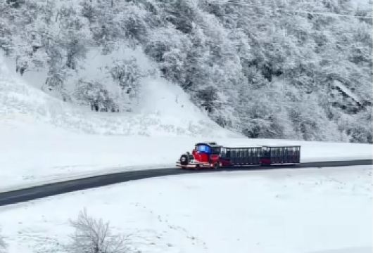 【冰雪季•5H畅游】仙女山一日游丨8人小团丨主城定区上门接【[舒适出行]渝中区、南坪、观间桥主要商圈上门接丨含仙女山森林公园大门票】