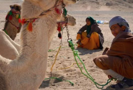 埃及红海沙漠冲沙 酒店接送+晚餐 ATV 吉普车 可日落观星【赫尔格达必体验项目 感受贝都因文化】