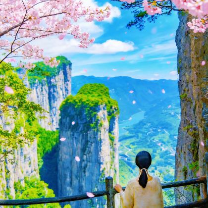 恩施大峡谷一日游【900+好评丨含景交地缆丨纯玩丨七星地缝】