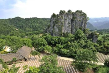 【8人团/包团·含门票】剑门关+翠云廊一日游【[小团·精选景区]一天时间玩转广元精华景点，剑门关高铁站接送】