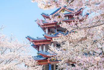 无锡：蠡园+鼋头渚+南长街 |包车定制日游【中英俄法德西】#【无锡市区内上门接送】