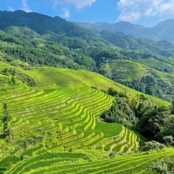 桂林龙脊梯田一日游【平安寨和金坑寨都去或2选1/小团】