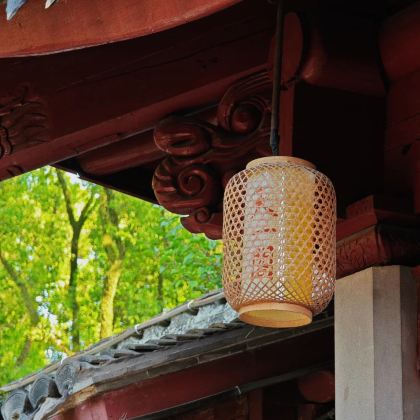 【10人小团】宁波天一阁博物院半日游（门票+2小时人工精讲）