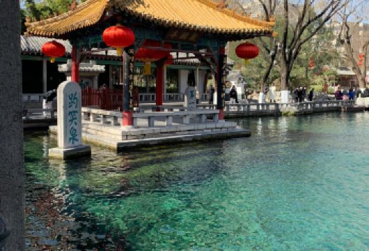 青岛出发-济南一日中英文服务｜单程【可提供英文及小语种服务】