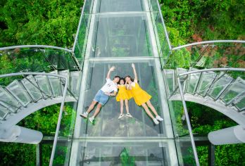 三亚亚龙湾热带天堂森林公园一日游【过江龙索桥】