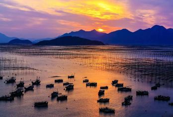 霞浦一日游【东海一号线|可选路线|本地司导带赏日落海岸线】【可选私家团出游[私人定制+独立包车+品质游玩]】