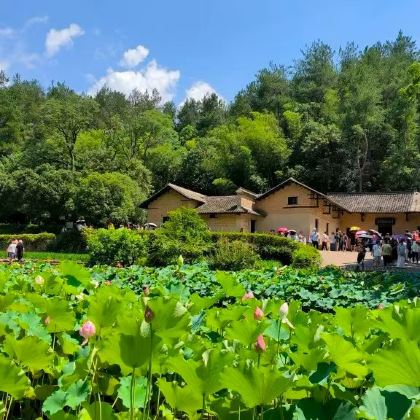 向导预约门票+通行证·韶山旅游区毛泽东同志故居+纪念馆一日活动