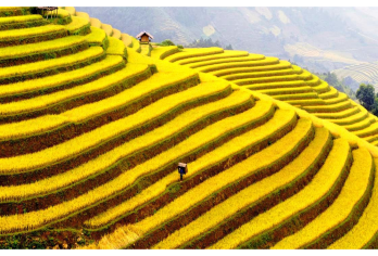 萨帕Instagram探险之旅——苗族文化与史诗般的拍照景点【穿上预先挑选的色彩鲜艳的苗族服装，在梯田、瀑布和木桥（Si Bridge、A Lu Br 探索传统的木制房屋，浏览手工艺品，并观看每小时的苗族音乐和舞蹈文化表演。 在灵活且专业的当地指导下，体验沙巴**的文化和风景。】