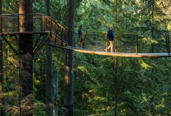 加拿大温哥华吊桥公园+温哥华水族馆+美术馆一日游【北美风情的海滨城市】