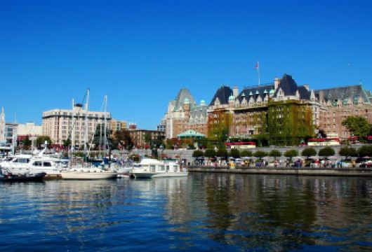 南非开普敦包车一日游 河口自然保护区+企鹅滩+鸟类保护区【小众打卡地Zandvlei河口自然保护区】