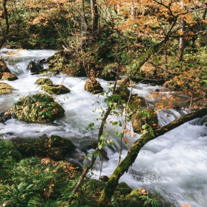 日本青森/奥入濑溪流/八甲田山/十和田湖/小众秘境地