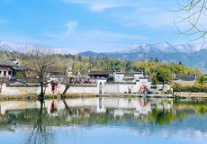 西递+宏村景区+守拙园一日游【私家团专车接送直达景点+纯玩无购物】